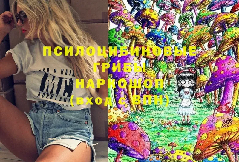 Псилоцибиновые грибы MAGIC MUSHROOMS  mega зеркало  Новосиль 